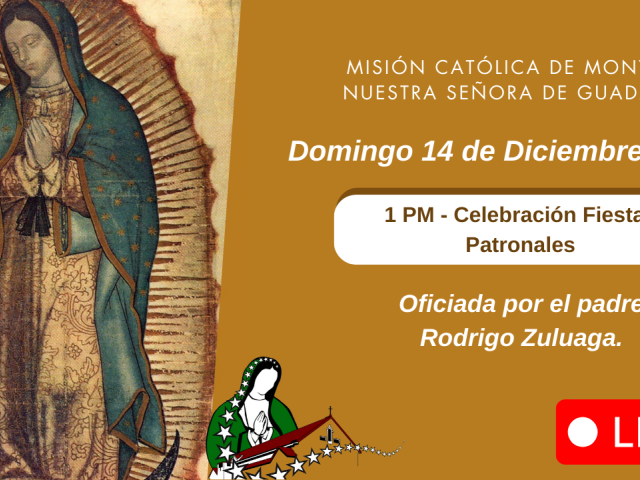 Fiestas Patronales 2025