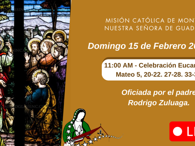 Jesus habla a sus discipulos.