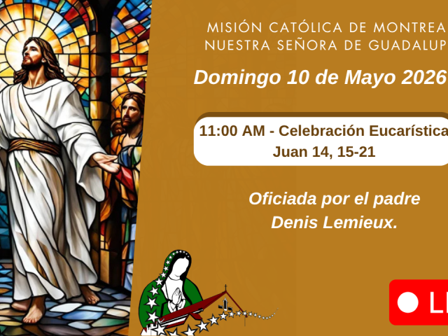 10 de Mayo 2026