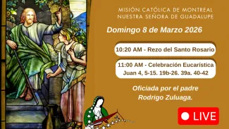 YouTube live 8 Marzo 2026