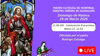 Domingo de Ramos 2026